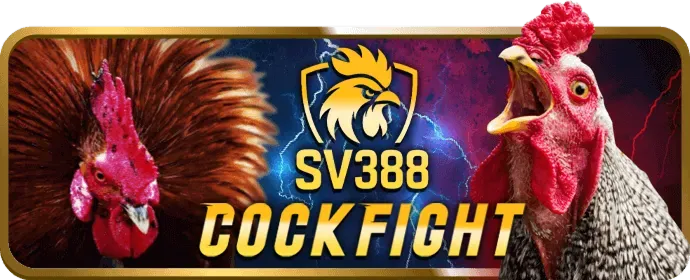 Các chương trình VIP độc quyền